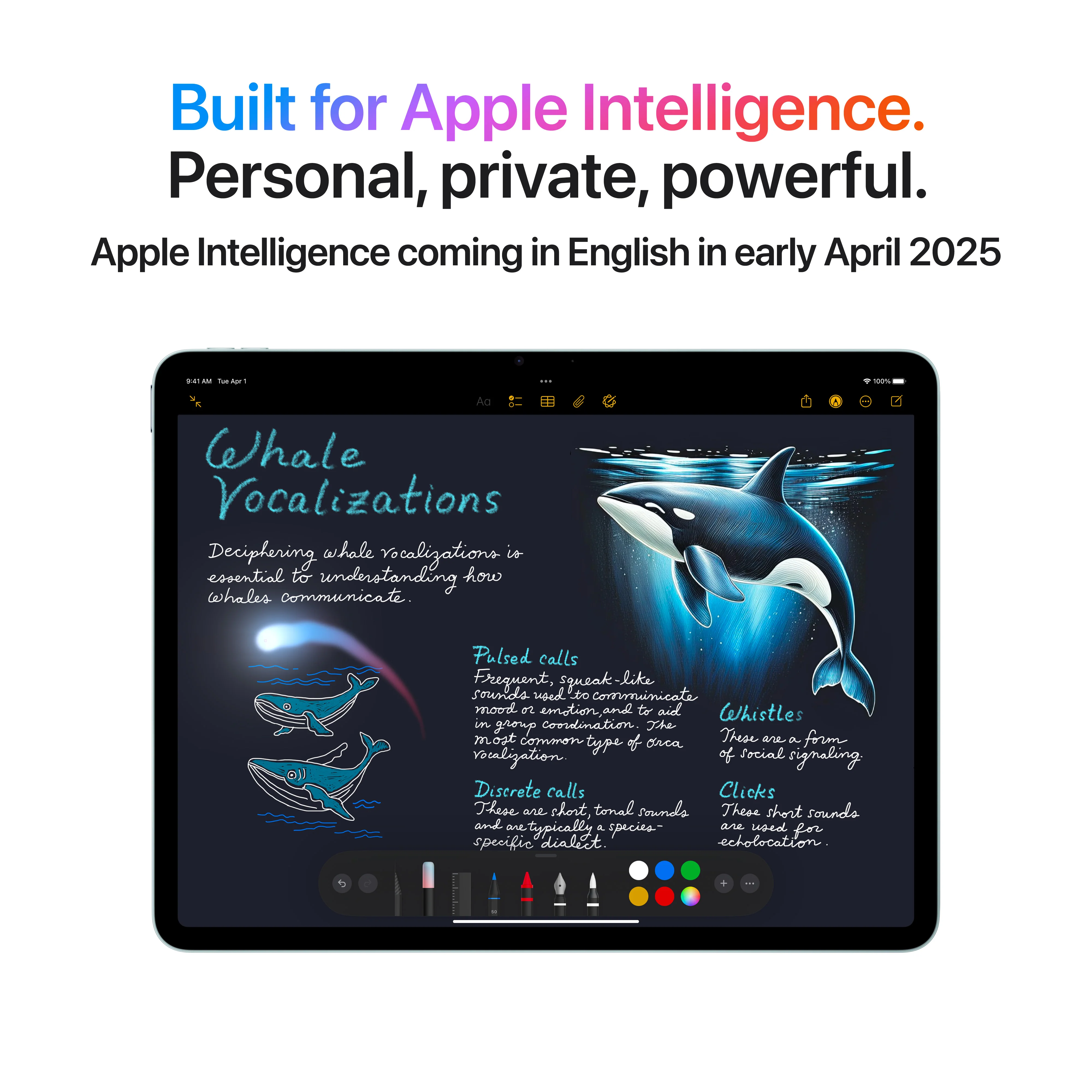 13-inch iPad Air Wi-Fi + Cellular 128GB - Purple (M3) - Image 5