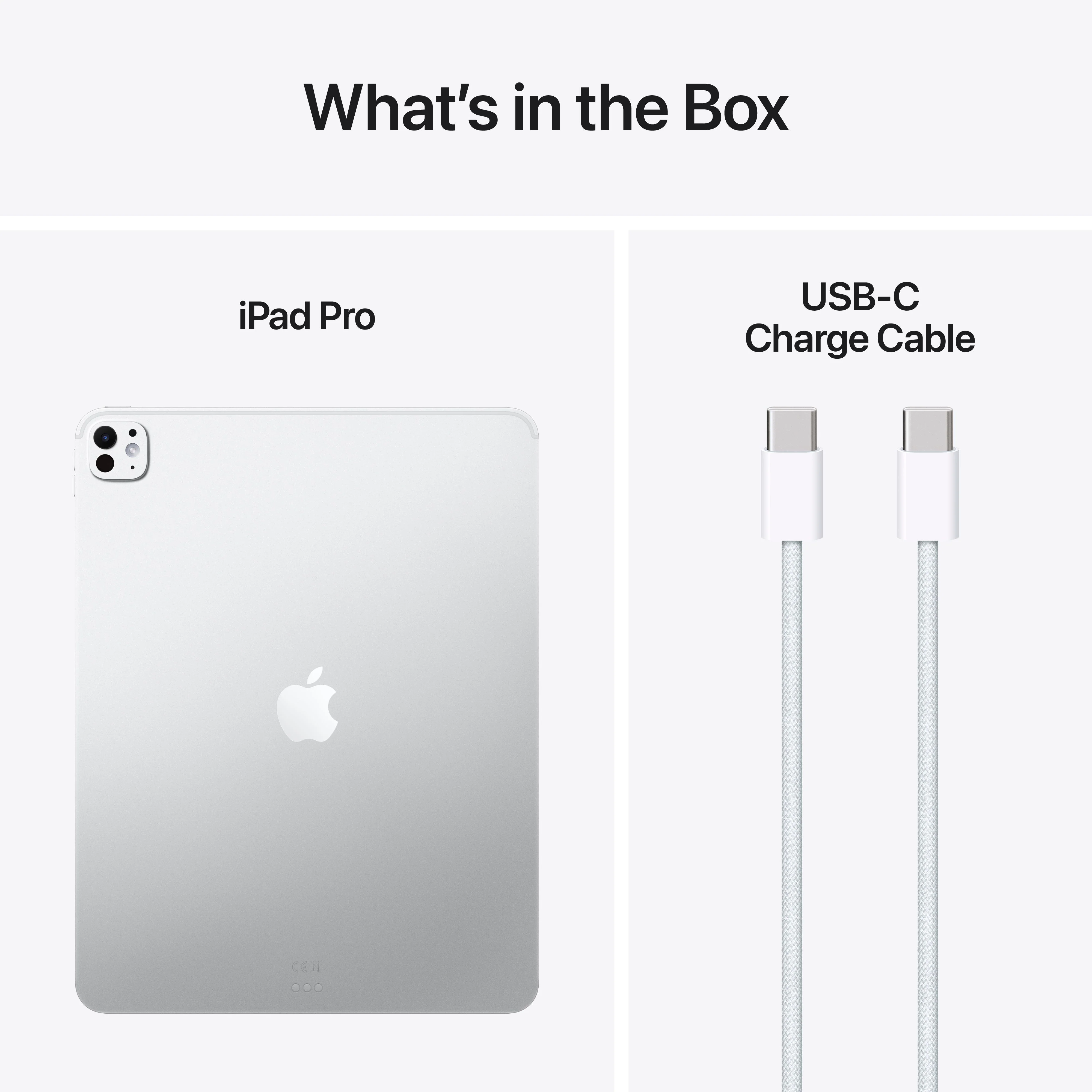 13-inch iPad Pro Wi-Fi 256GB Standard Glass - Silver (M5) - Image 9