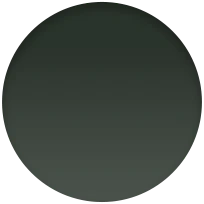 41mm Sequoia Green Leather Link - M/L - Image 4